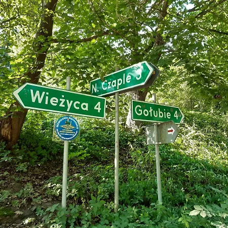 Vakantiehuis Kaszuby, Dom Kaszubski Nad Jeziorem Danielowa Dolina Szymbark (Pomerania)
