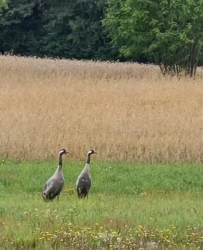 Kaszuby, Dom Kaszubski Nad Jeziorem Danielowa Dolina *